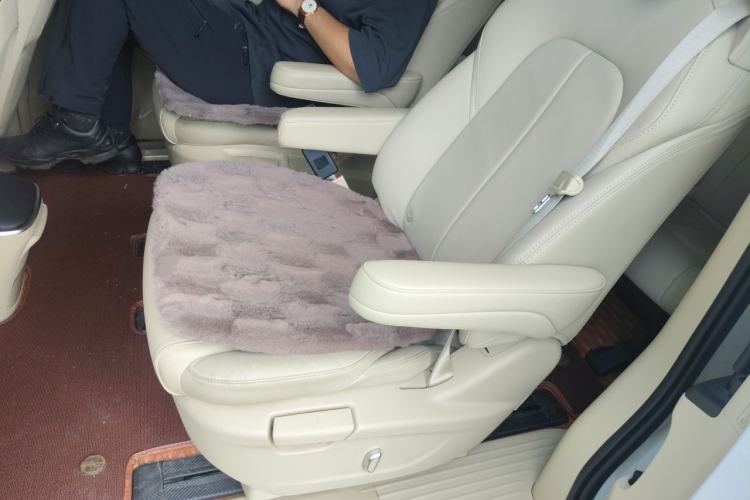 Used Buick GL8 2022 ES Landtrek 653T Luxury Edition Left Rear Seat