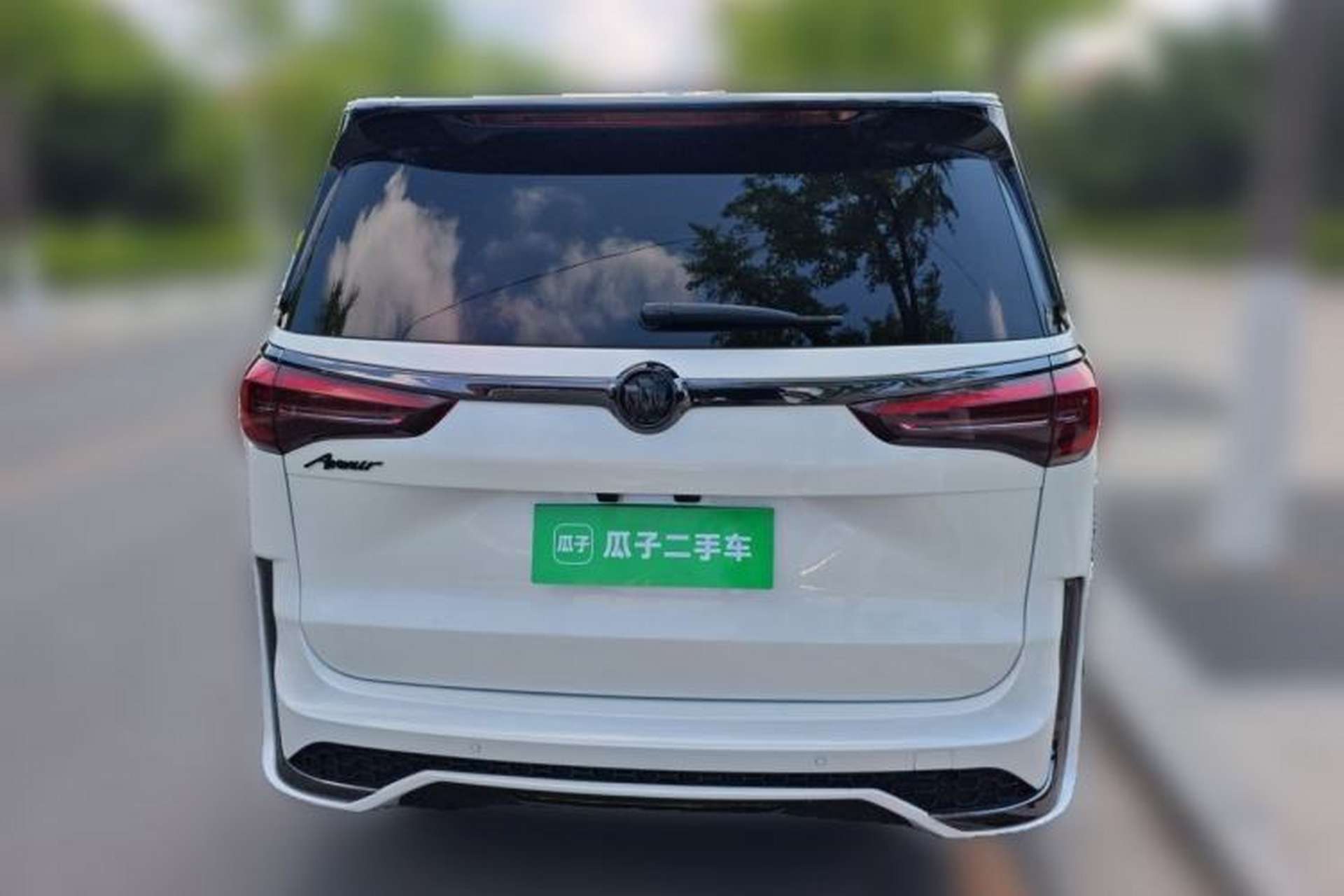 Used Buick GL8 2022 ES Landtrek 653T Luxury Edition Rear