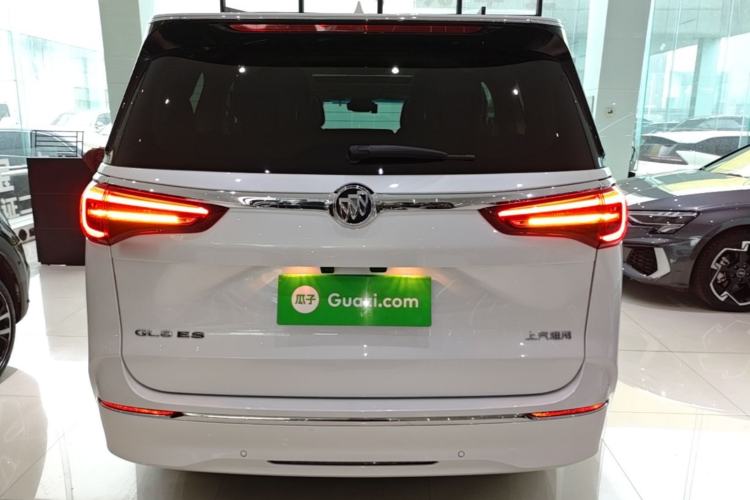 Used Buick GL8 2022 ES Landtrek 653T Luxury Edition Rear
