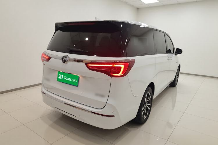 Used Buick GL8 2022 ES Landtrek 653T Luxury Edition Rear Right 45 Deg