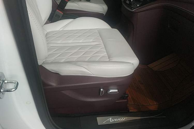 Used Buick GL8 2022 Avenir Aivia Six-Seat Deluxe Edition Right Front Seat