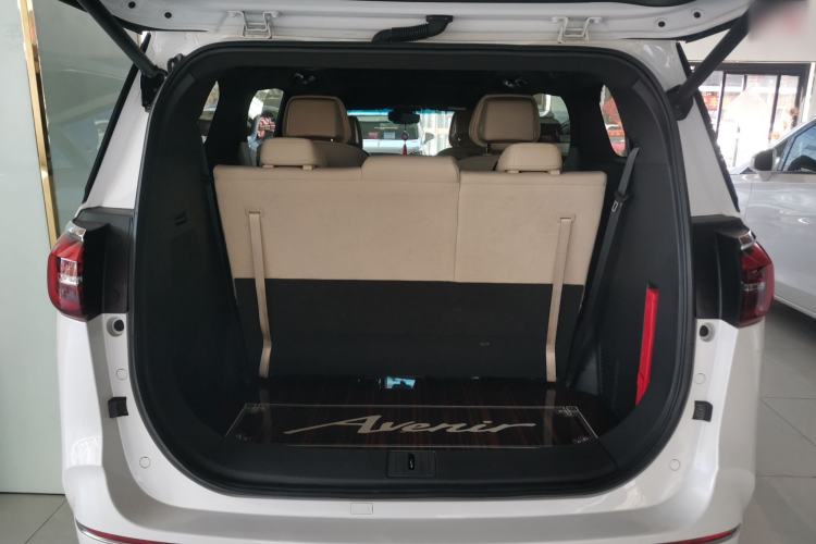 Used Buick GL8 2022 ES Landtrek 653T Flagship Model Trunk