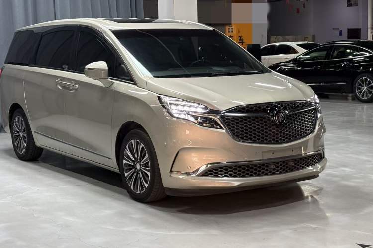 Used Buick GL8 2022 ES Landtrek 653T Flagship Model Exterior 6