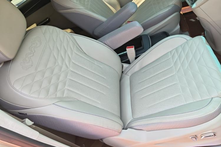 Used Buick GL8 2022 ES Landtrek 653T Comfort Edition Right Front Seat