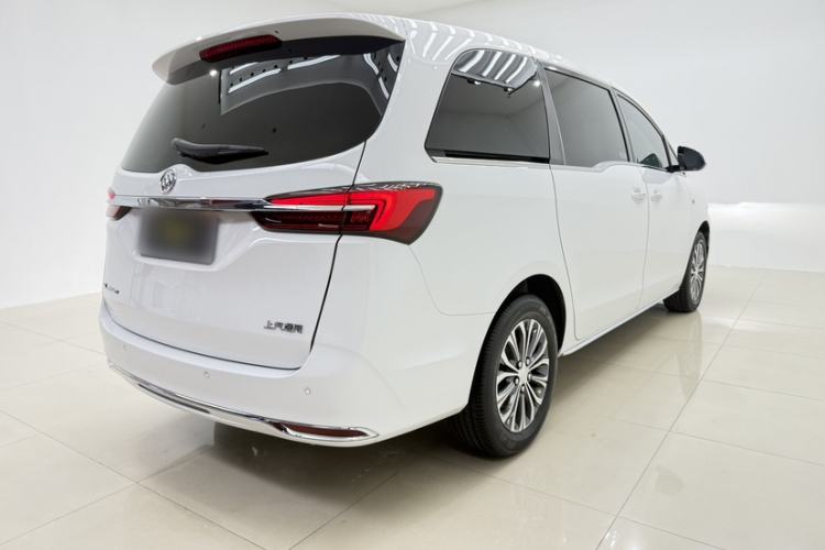 Used Buick GL8 2023 Land Executive Class 652T Luxury Model Exterior 6