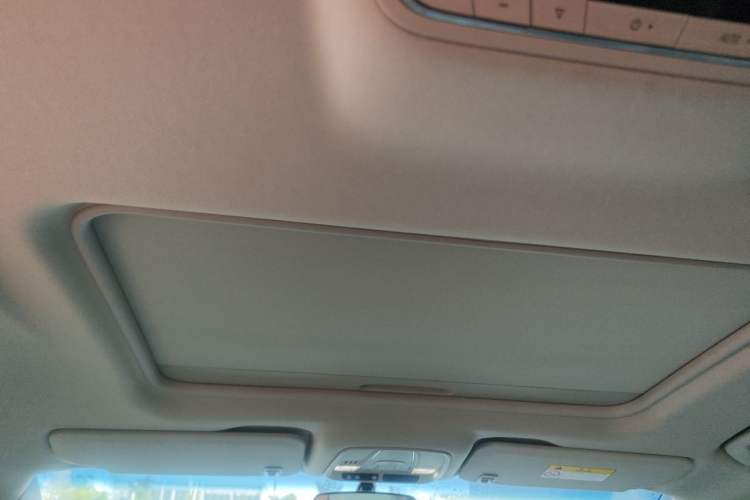 Used Buick GL8 2023 ES Lu Zun Comfort Model Headliner
