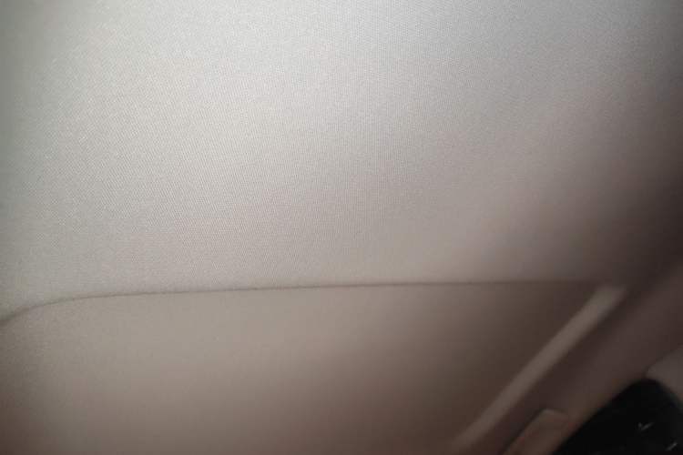 Used Buick GL8 2023 Land Executive Class Smart Enjoyment Model Headliner