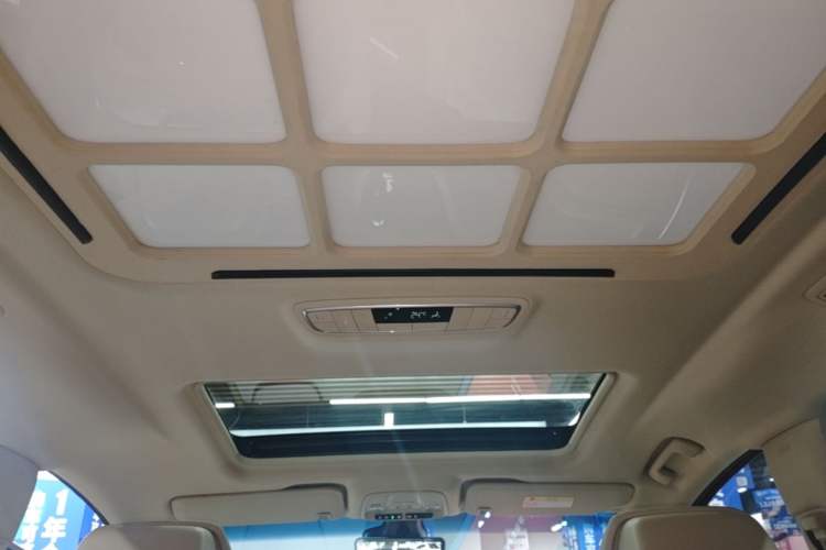 Used Buick GL8 2023 ES Lu Zun Deluxe Model Headliner