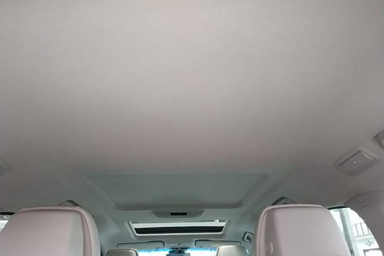 Used Buick GL8 2023 ES Lu Zun Deluxe and Yue Edition Headliner