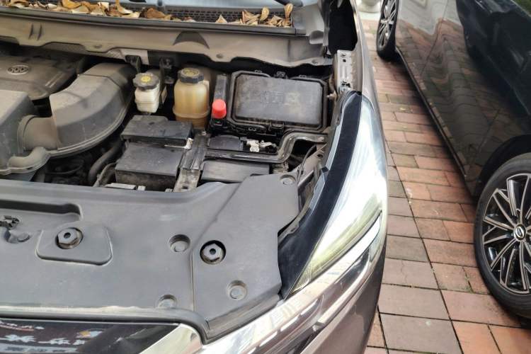 Used Buick GL8 2023 Land Executive Class Comfort Model Engine Bay Left