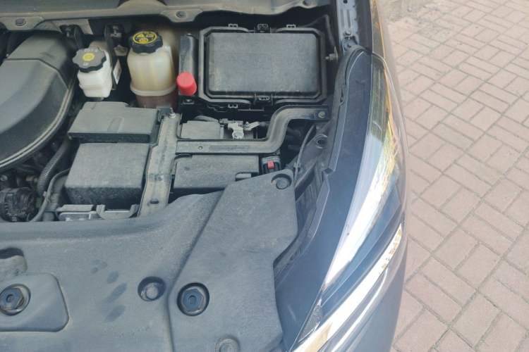 Used Buick GL8 2023 Land Executive Class Smart Enjoyment Model Engine Bay Left