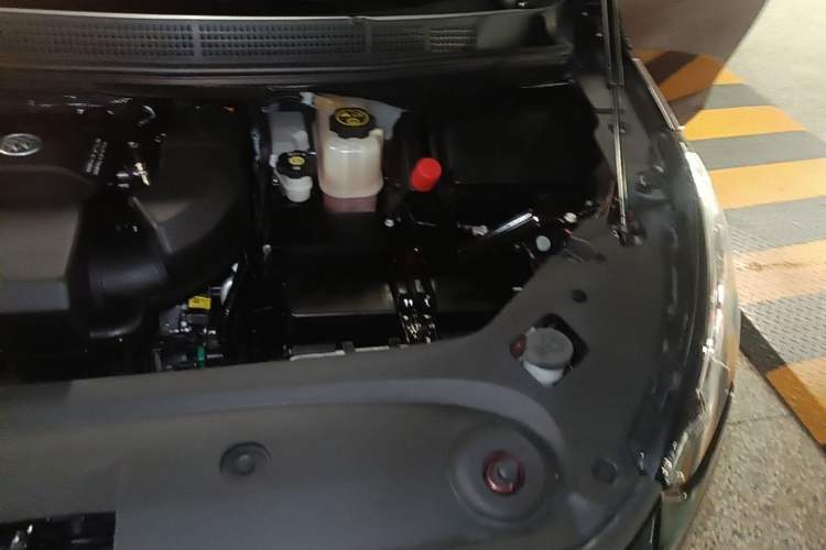 Used Buick GL8 2023 ES Lu Zun Luxury Model Engine Bay Left