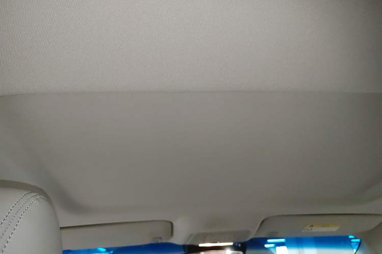 Used Buick GL8 2023 Land Executive Class Smart Enjoyment Model Headliner