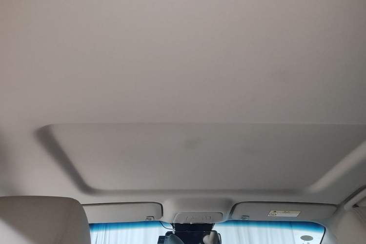 Used Buick GL8 2023 Land Executive Class Comfort Model Headliner