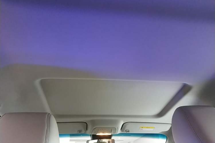 Used Buick GL8 2023 Land Executive Class Smart Enjoyment Model Headliner