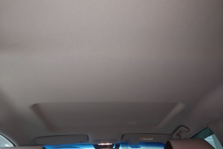 Used Buick GL8 2023 Land Executive Class Smart Enjoyment Model Headliner