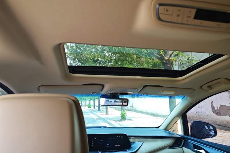 Used Buick GL8 2023 ES Lu Zun Deluxe Model Headliner
