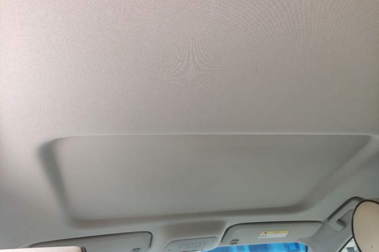 Used Buick GL8 2023 Land Executive Class Comfort Model Headliner