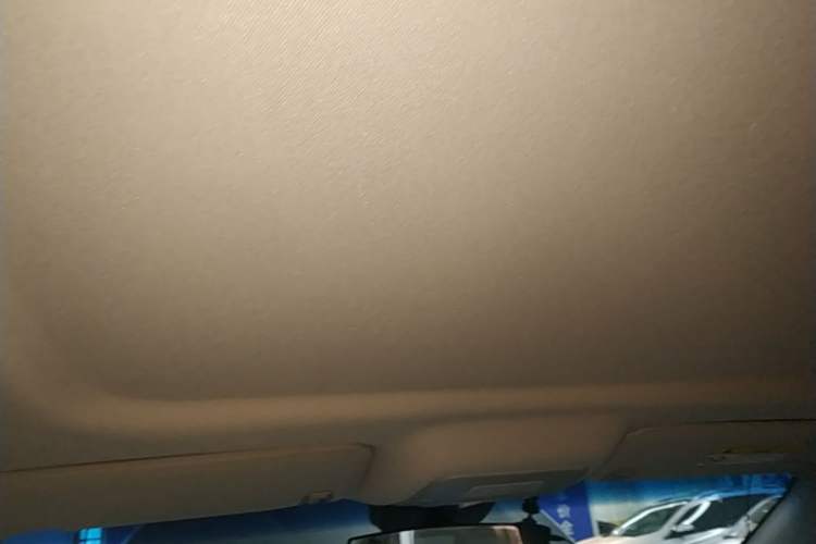 Used Buick GL8 2023 Land Executive Class Comfort Model Headliner
