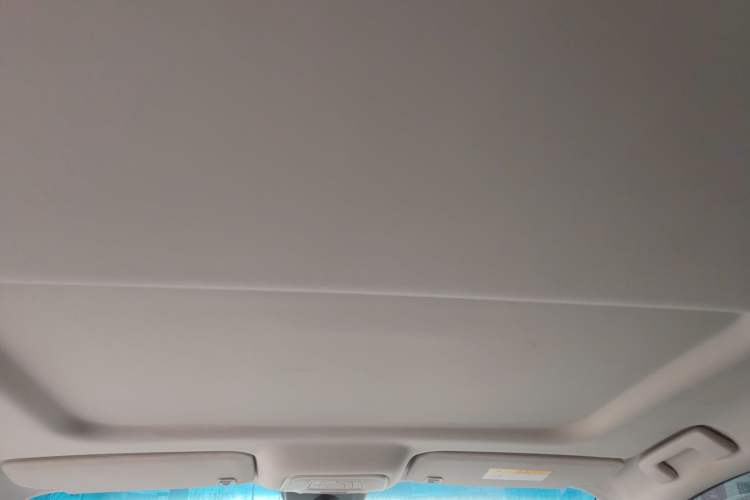 Used Buick GL8 2023 Land Executive Class Smart Enjoyment Model Headliner