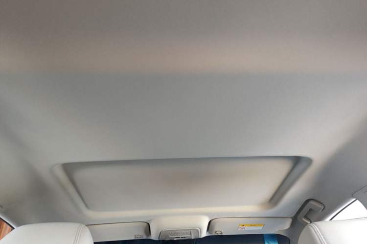 Used Buick GL8 2023 Land Executive Class Smart Enjoyment Model Headliner