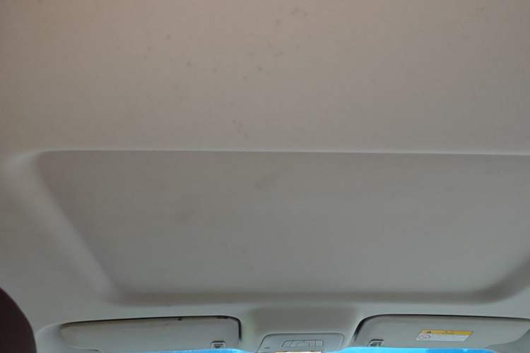 Used Buick GL8 2023 Land Executive Class Comfort Model Headliner