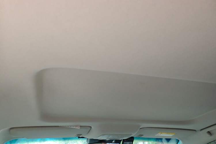 Used Buick GL8 2023 Land Executive Class Smart Enjoyment Model Headliner