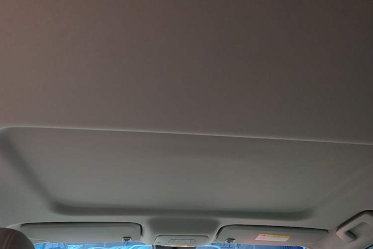 Used Buick GL8 2023 Land Executive Class Comfort Model Headliner