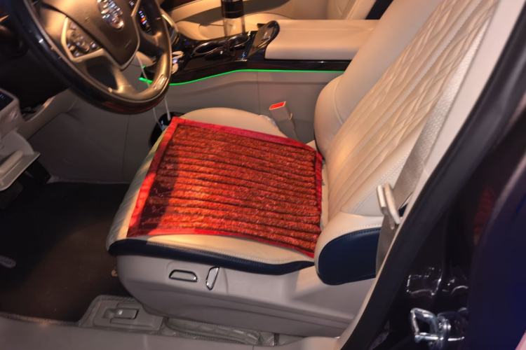 Used Buick GL8 2023 Land Executive Class Smart Enjoyment Model Left Front Seat