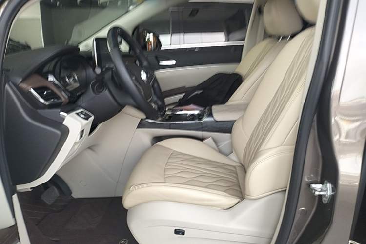 Used Buick GL8 2023 Land Executive Class Comfort Model Left Front Seat