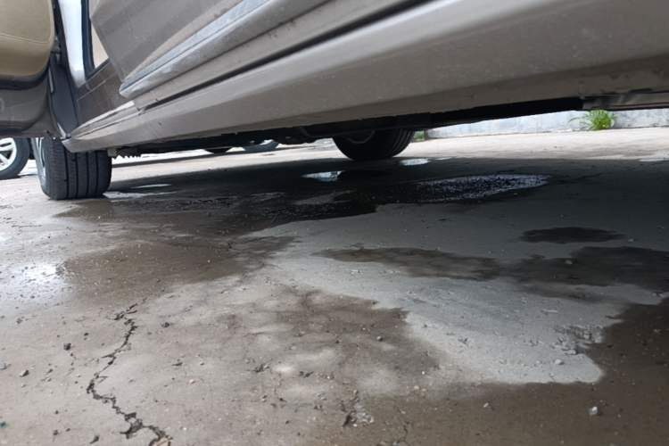 Used Buick GL8 2023 ES Lu Zun Deluxe Model Left Side Sill