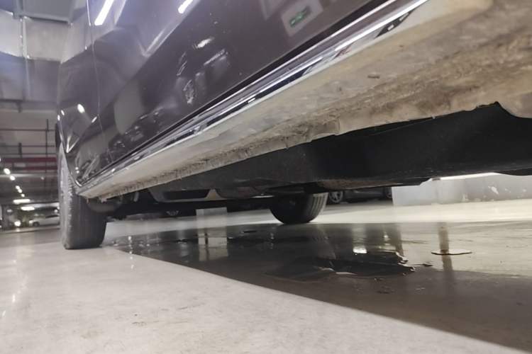 Used Buick GL8 2023 Land Executive Class Comfort Model Right Side Sill