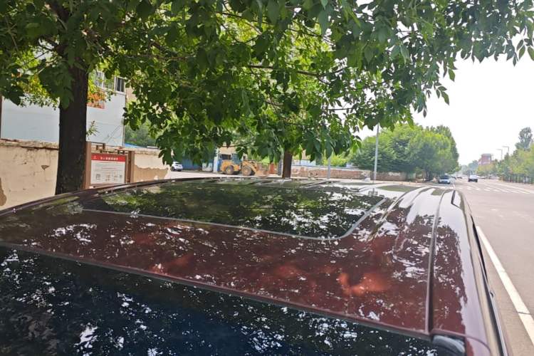 Used Buick GL8 2023 ES Lu Zun Deluxe Model Roof
