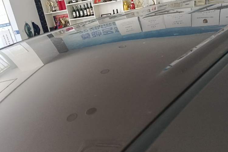 Used Buick GL8 2023 Land Executive Class Comfort Model Roof
