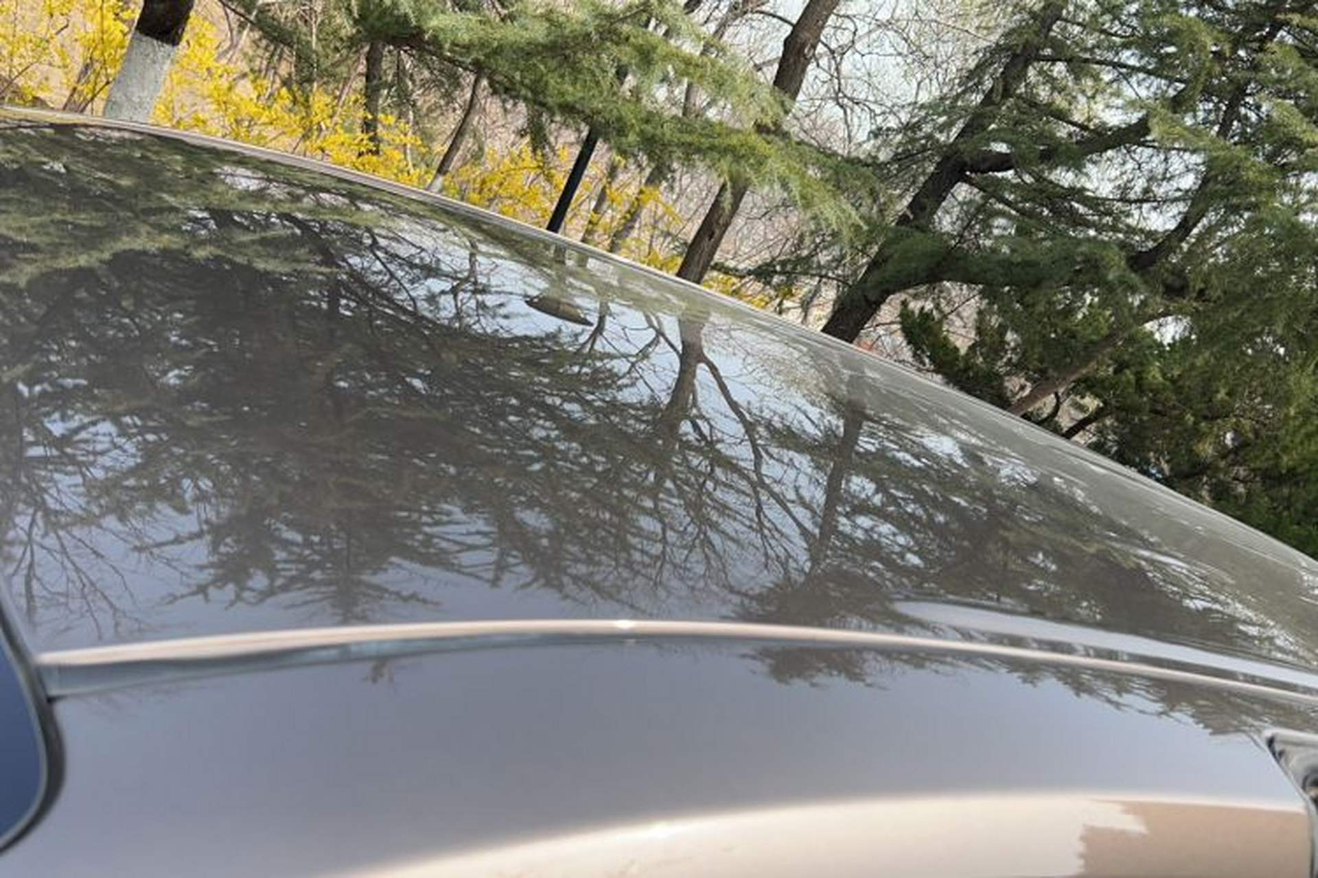 Used Buick GL8 2023 Land Executive Class Comfort Model Roof