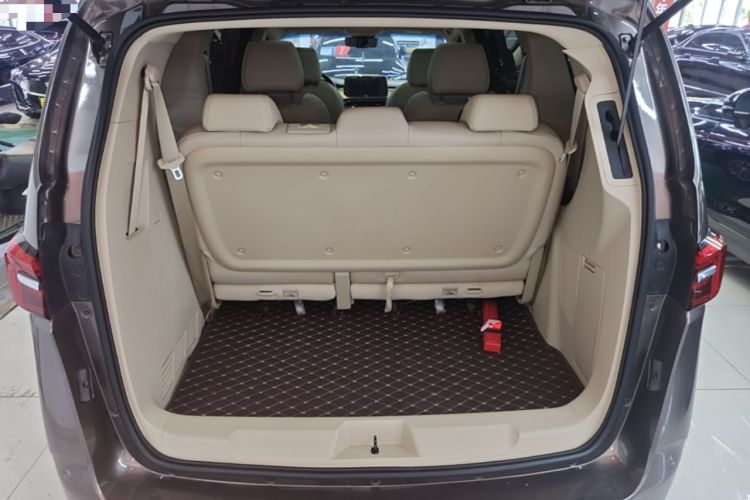 Used Buick GL8 2023 Land Executive Class Deluxe Model Trunk