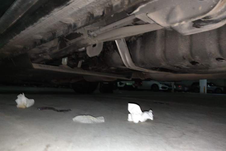 Used Buick GL8 2023 Facelifted Land Cruiser Executive Luxury Version Chassis Rear Left