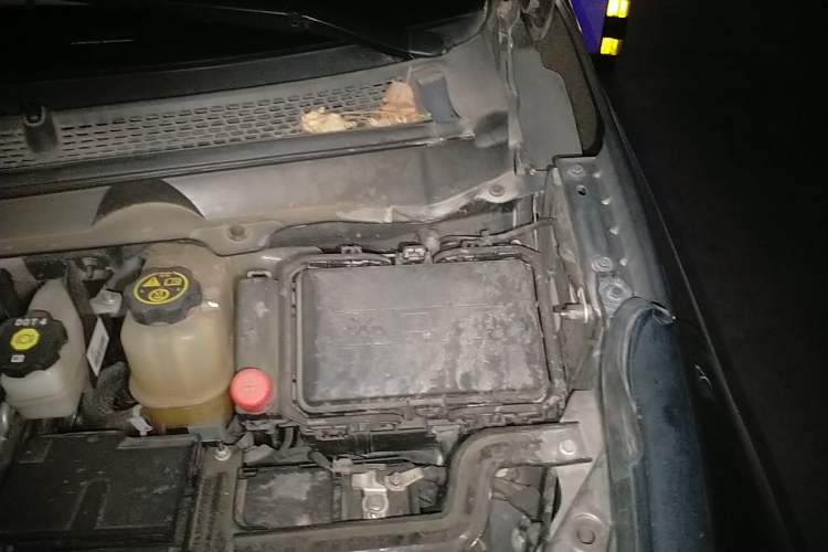 Used Buick GL8 2023 Land Executive Class Smart Enjoyment Model Engine Bay Left