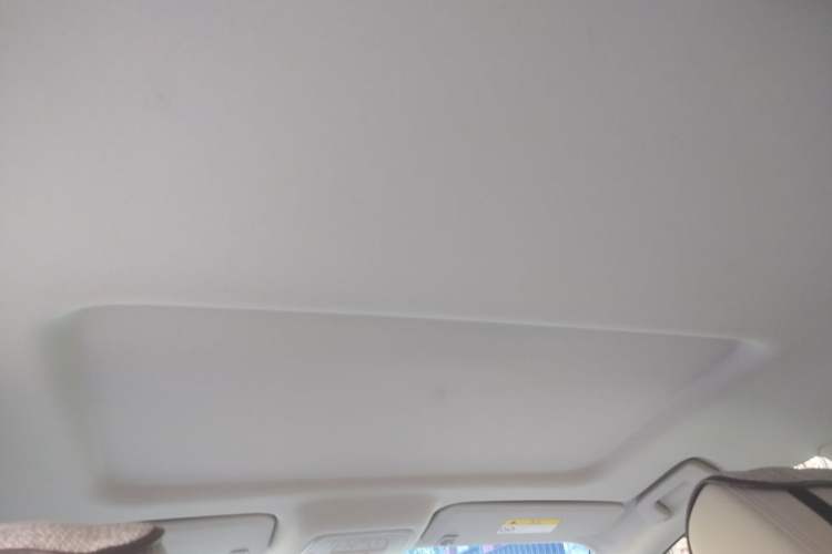 Used Buick GL8 2023 Land Executive Class Smart Enjoyment Model Headliner