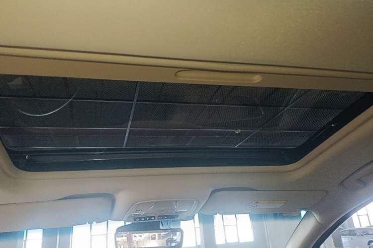 Used Buick GL8 2023 ES Lu Zun Deluxe Model Headliner