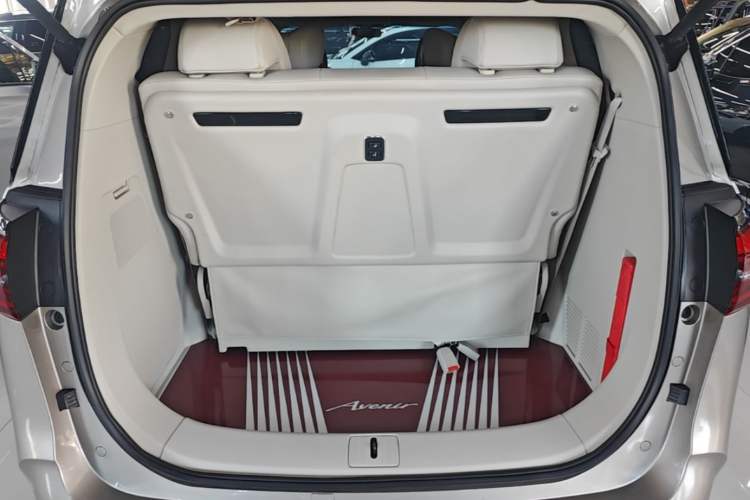 Used Buick GL8 2023 ES Lu Zun Comfort Model Trunk
