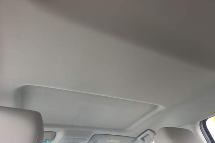 Used Buick GL8 2023 Land Executive Class Comfort Model Headliner