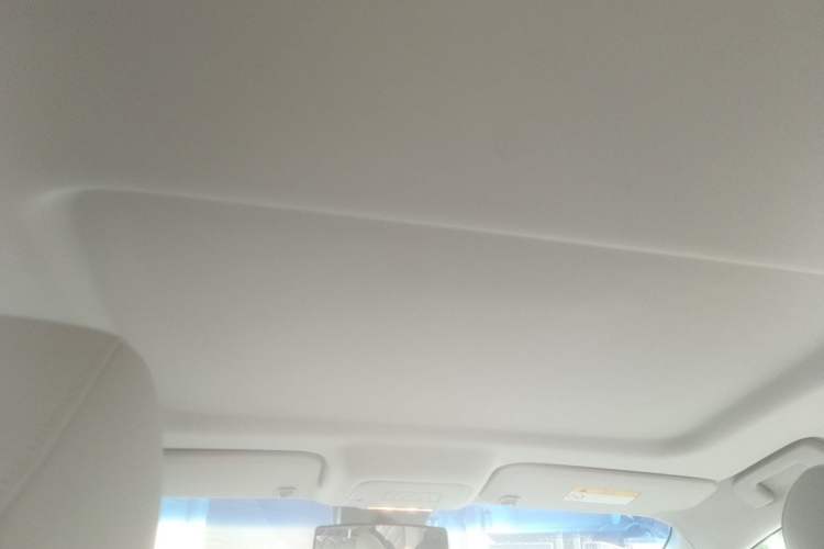 Used Buick GL8 2023 Land Executive Class Comfort Model Headliner