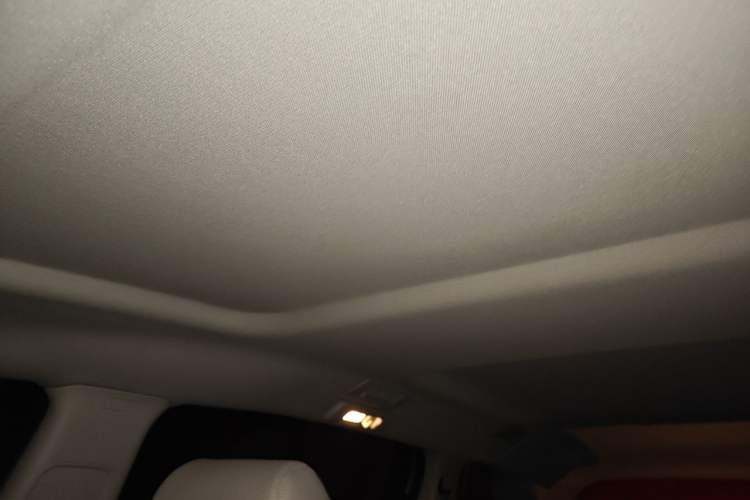 Used Buick GL8 2023 Land Executive Class Smart Enjoyment Model Headliner