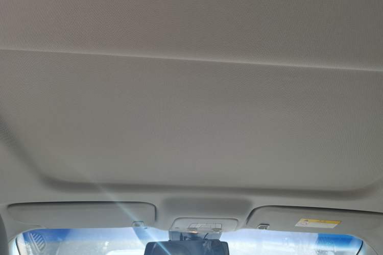 Used Buick GL8 2023 Land Executive Class Comfort Model Headliner