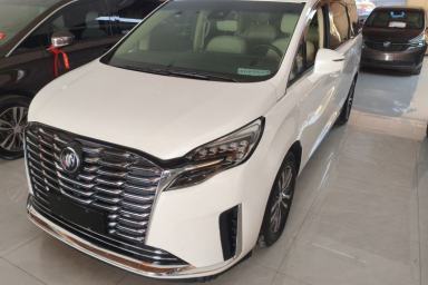 Used Buick GL8 2023 ES Lu Zun Deluxe Model