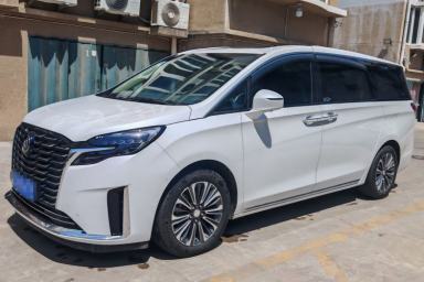 Used Buick GL8 2023 ES Lu Zun Luxury Model