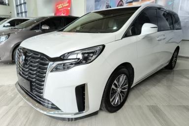 Used Buick GL8 2023 ES Lu Zun Deluxe Model
