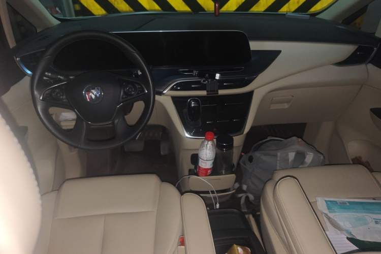 Used Buick GL8 2023 ES Lu Zun Deluxe Model Center Console