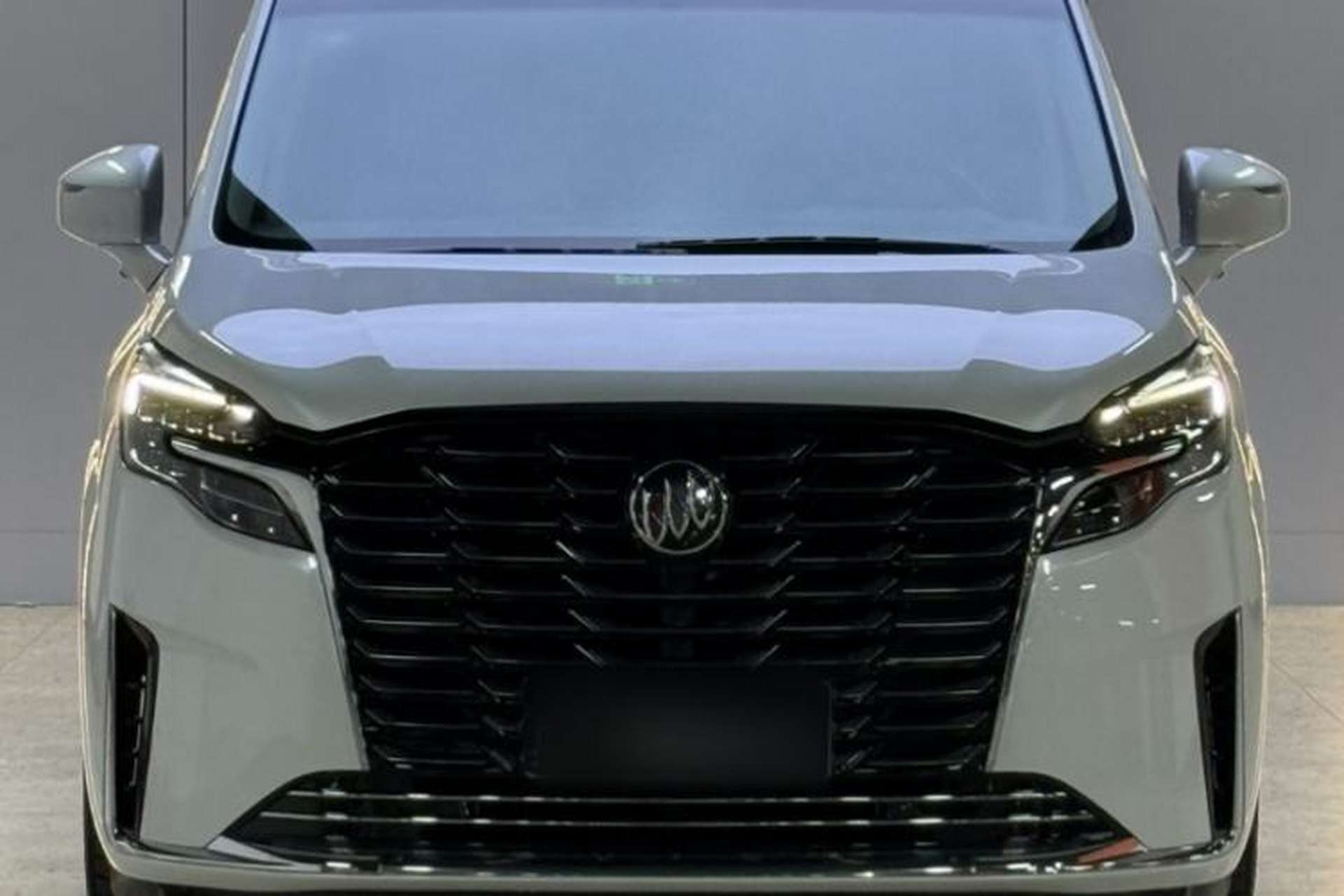 Used Buick GL8 2023 ES Lu Zun Comfort Model Exterior 1